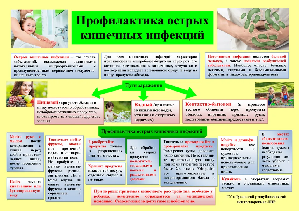 киш инф