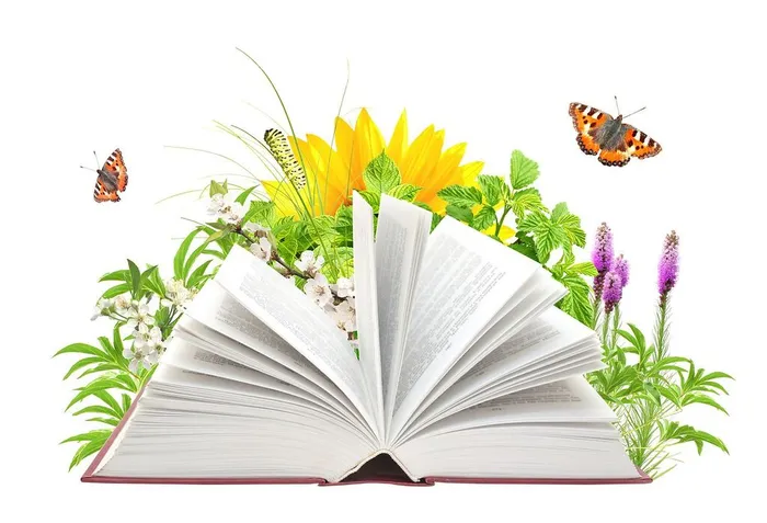 книги лето
