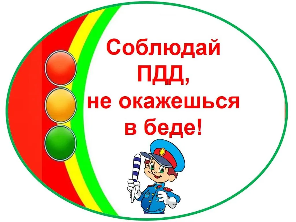 yy_1559110055