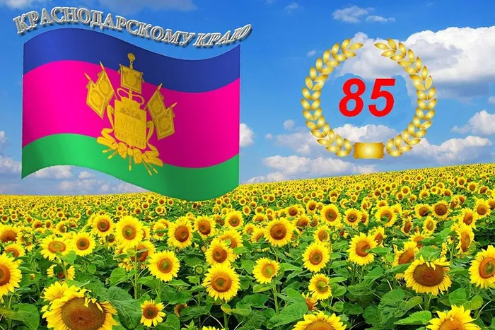 85
