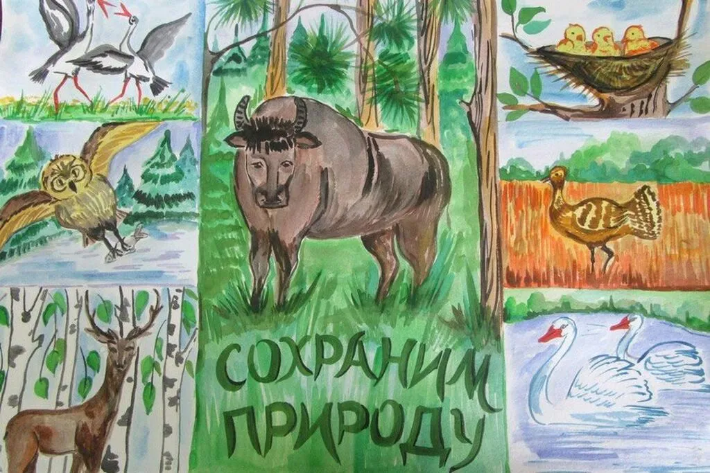 1643010183_1-papik-pro-p-risunok-na-temu-okhranyaemie-rasteniya-i-z-1