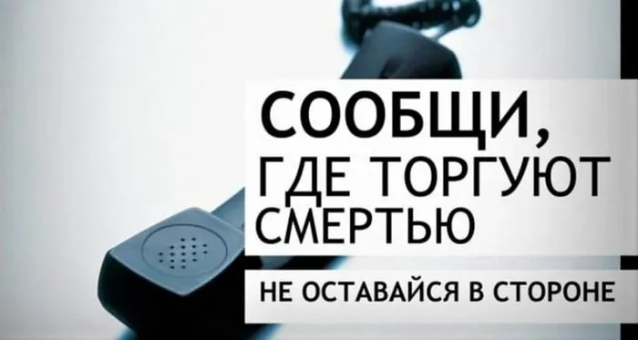 сообщи